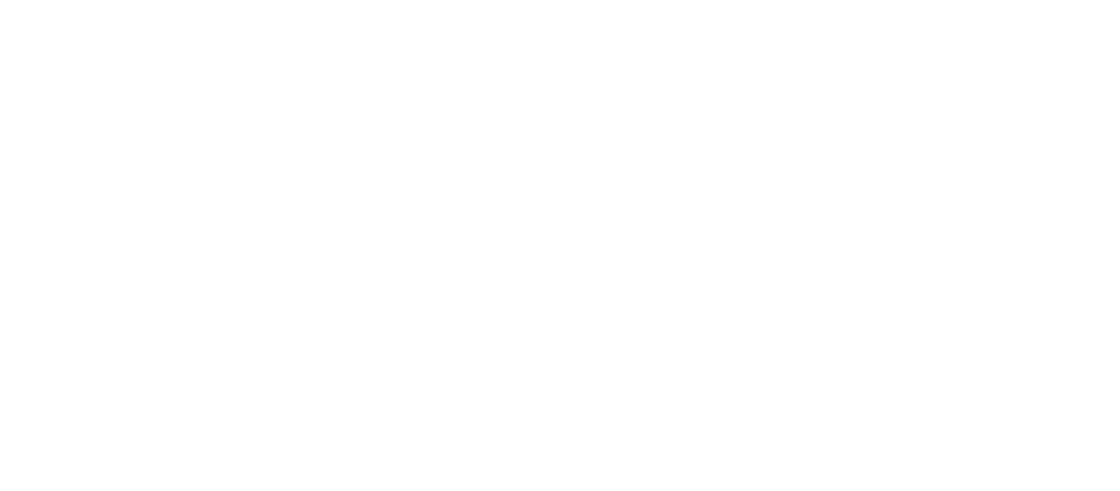CFMOTO CFORCE C4 ATV logo
