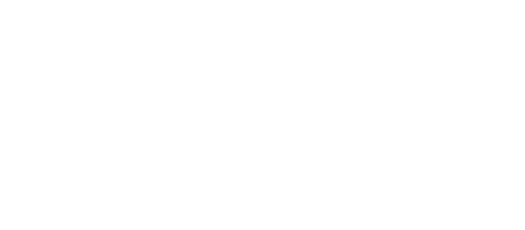 CFMOTO CFORCE C5 ATV logo